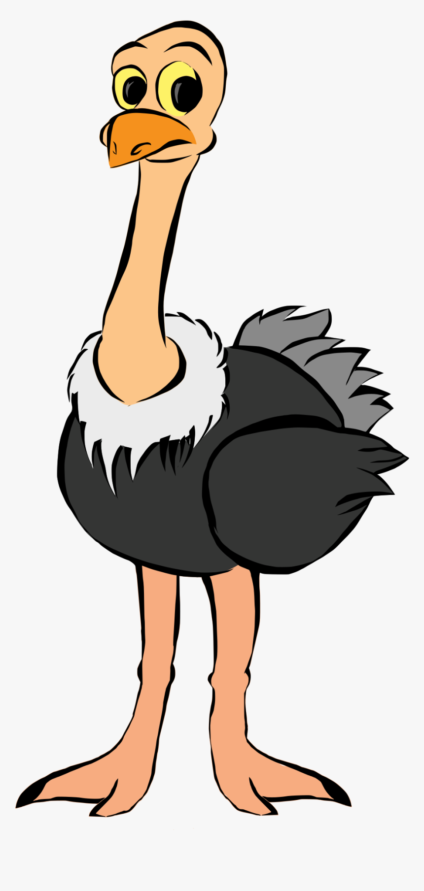 Detail Image Of Ostrich Bird Nomer 55