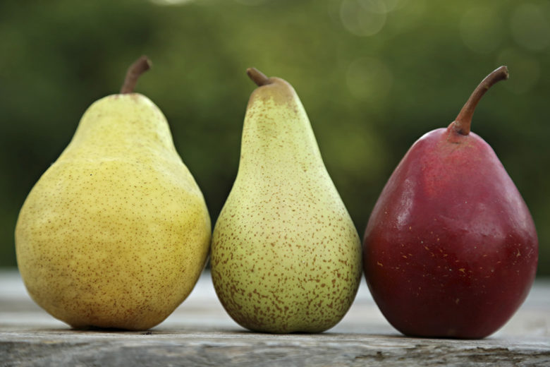 Detail Image Of Pear Fruit Nomer 13