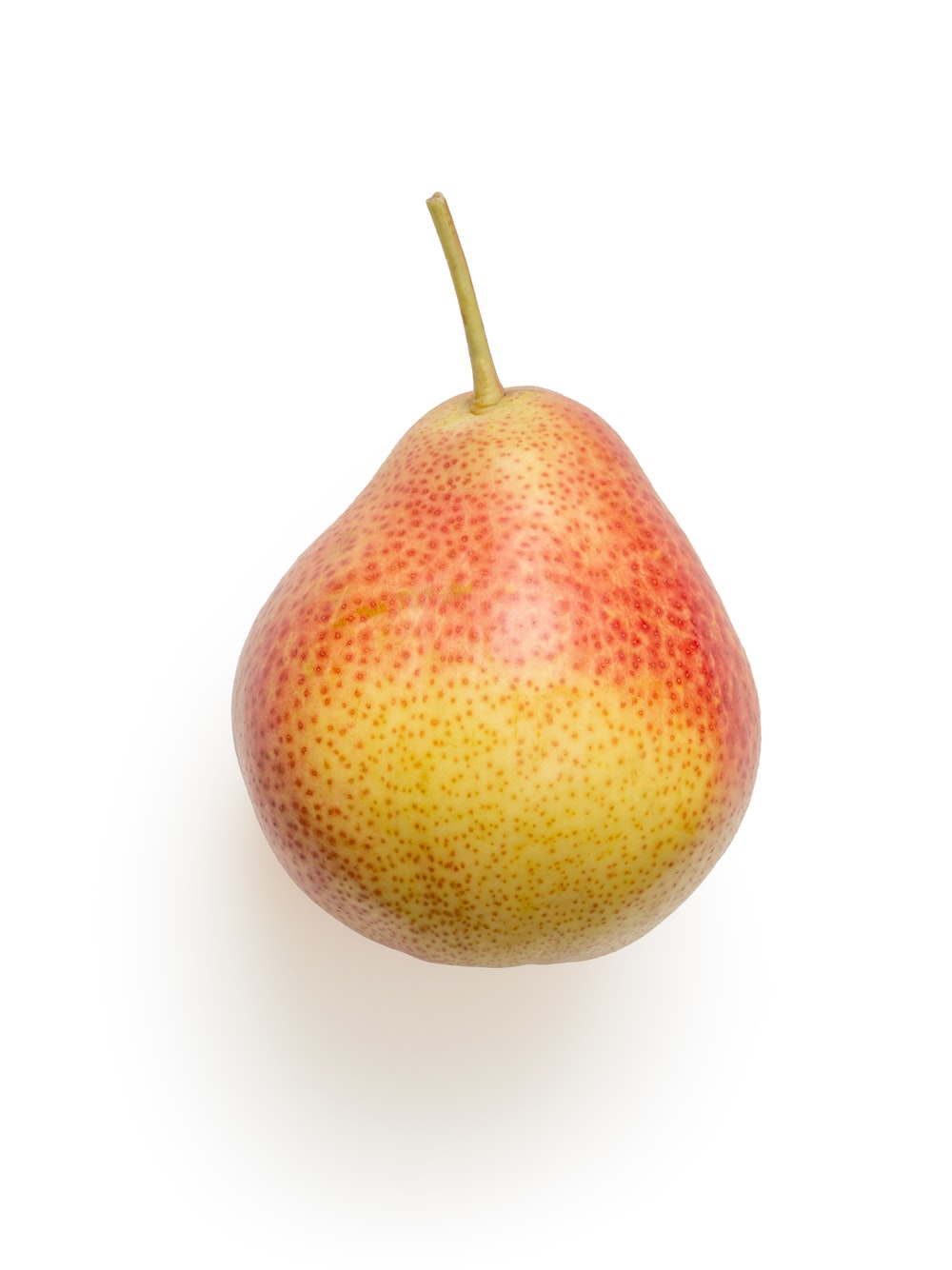 Detail Image Of Pear Fruit Nomer 17