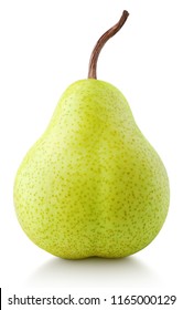 Detail Image Of Pear Fruit Nomer 19