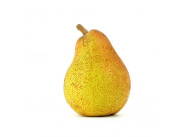 Detail Image Of Pear Fruit Nomer 31