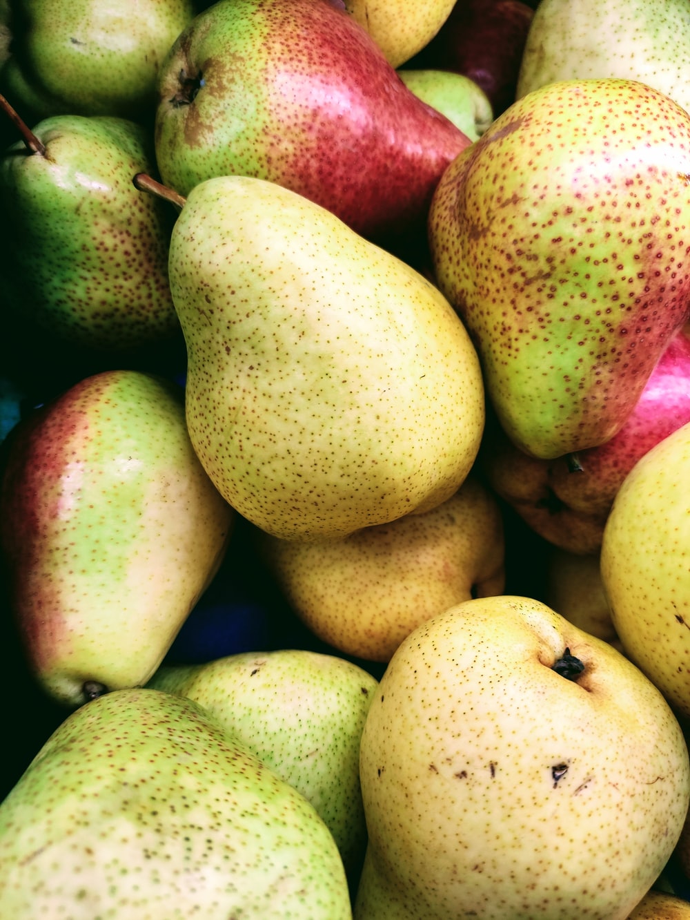 Detail Image Of Pear Fruit Nomer 36