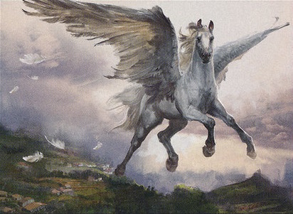 Detail Image Of Pegasus Nomer 4