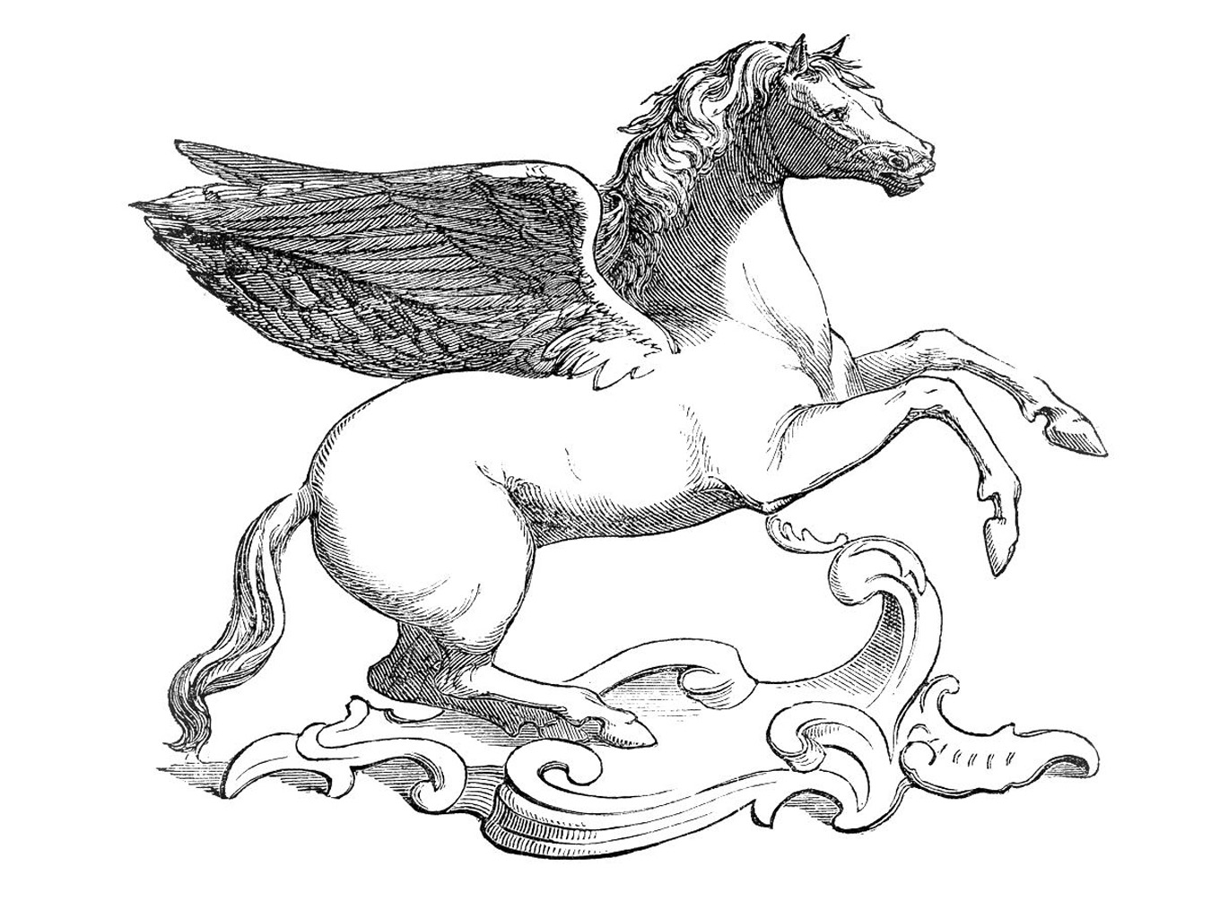 Detail Image Of Pegasus Nomer 46