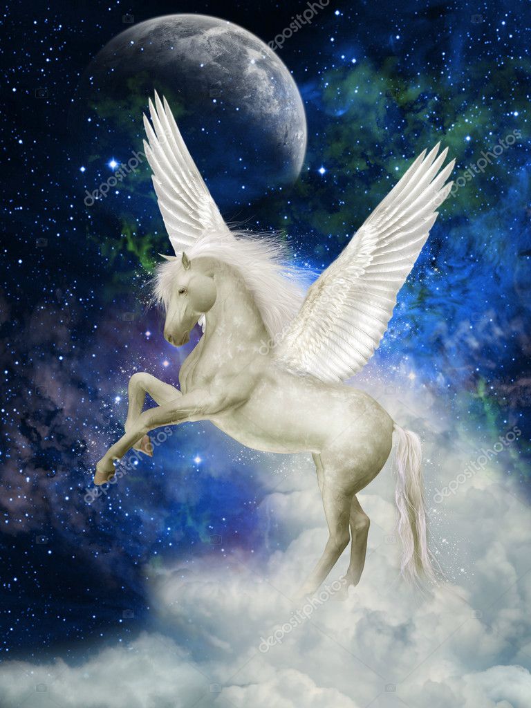Detail Image Of Pegasus Nomer 6