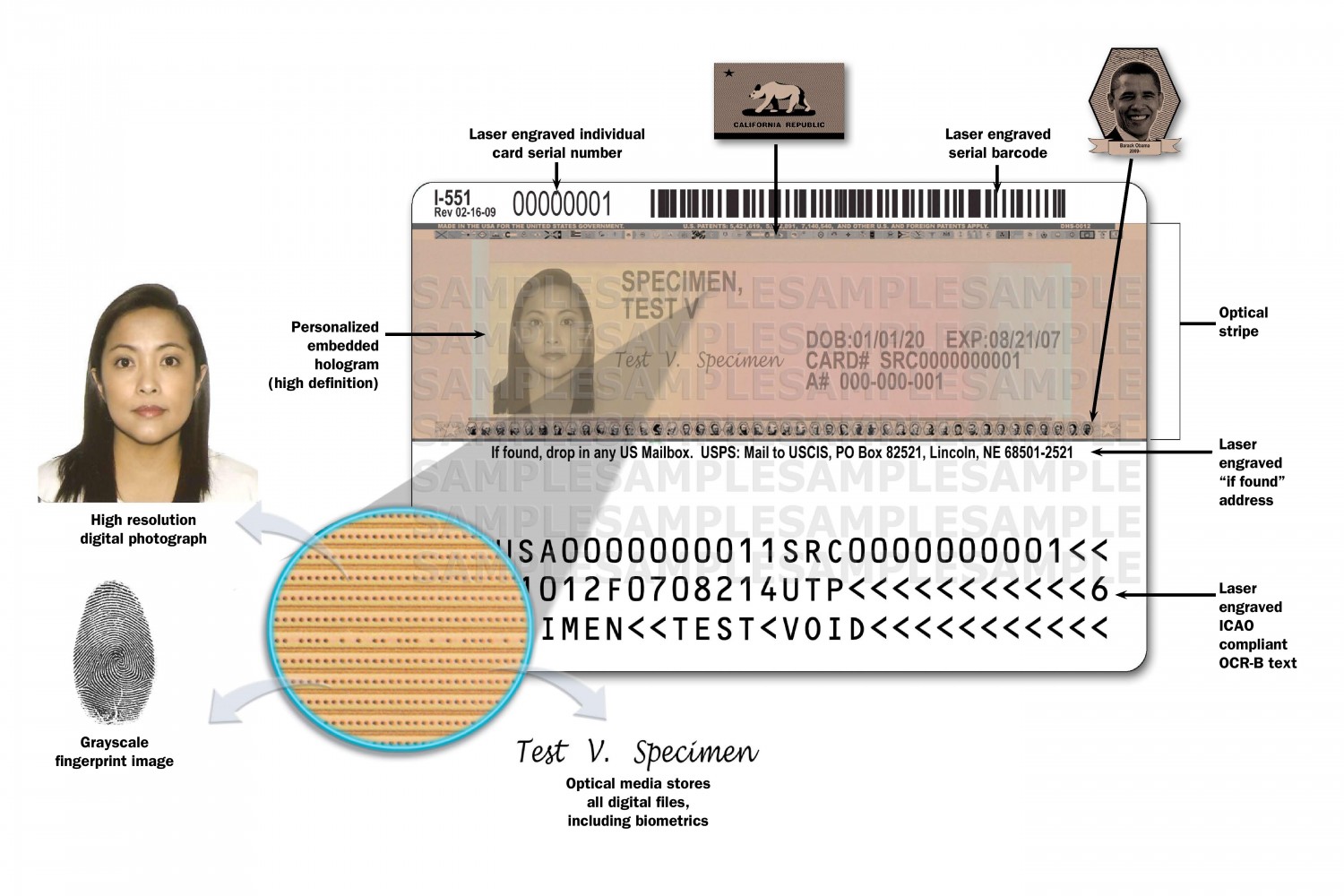 Detail Image Of Permanent Resident Card Nomer 31