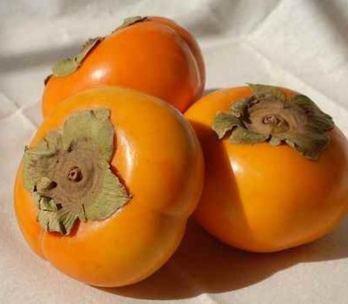 Detail Image Of Persimmon Fruit Nomer 35