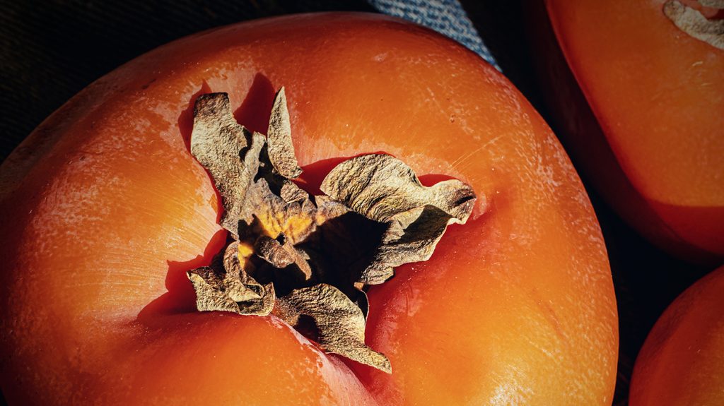 Detail Image Of Persimmon Fruit Nomer 48