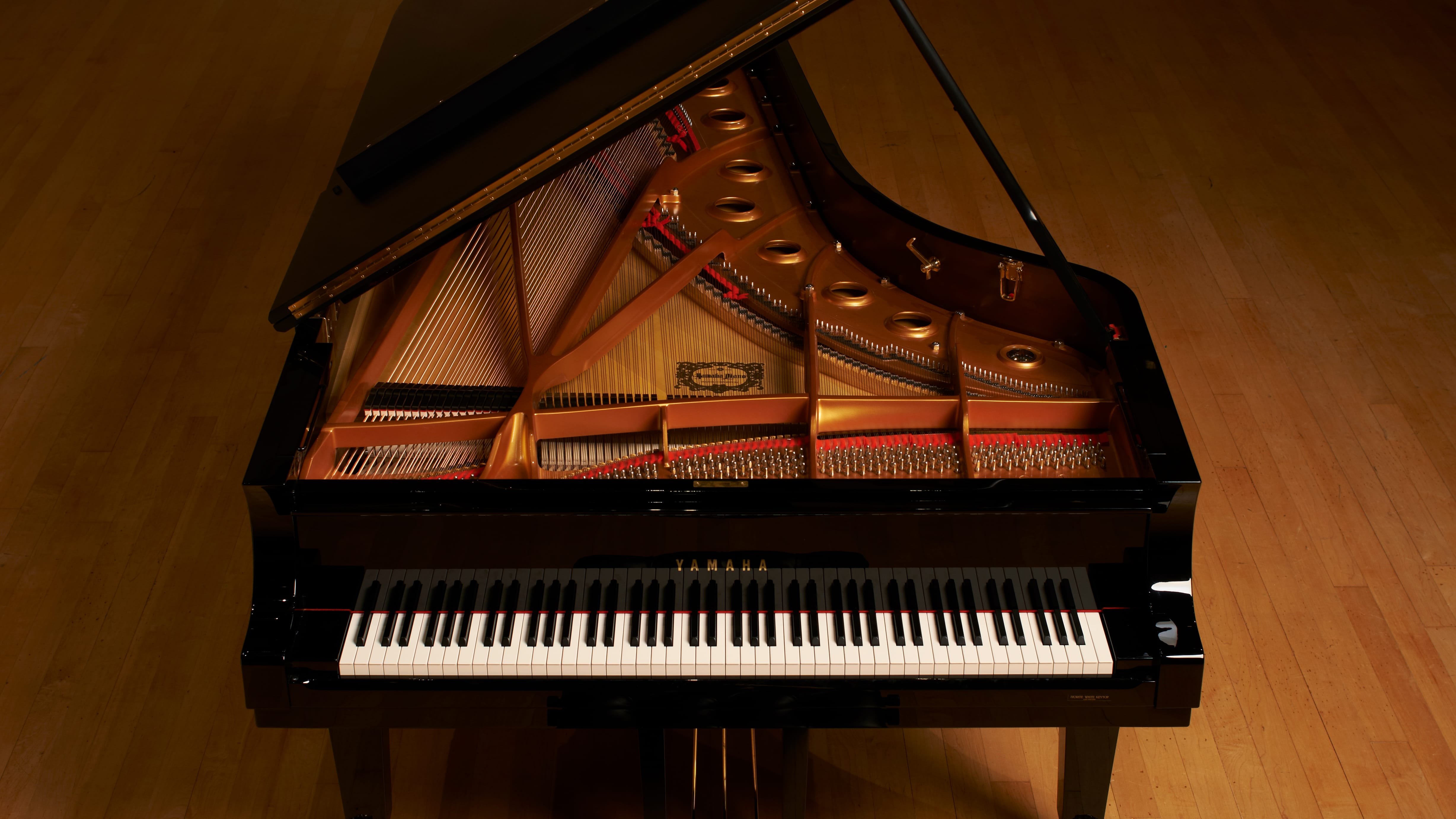 Detail Image Of Piano Nomer 4
