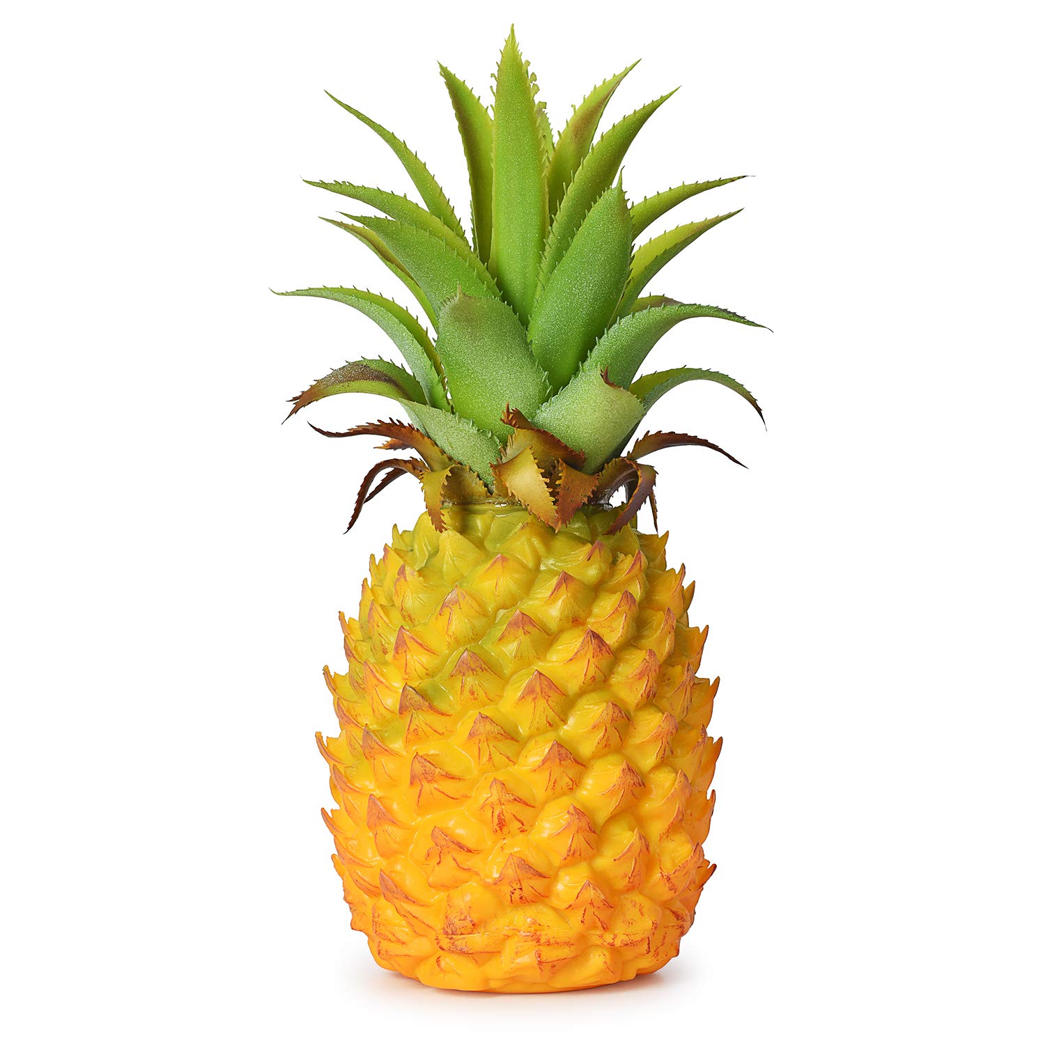 Detail Image Of Pineapple Nomer 26