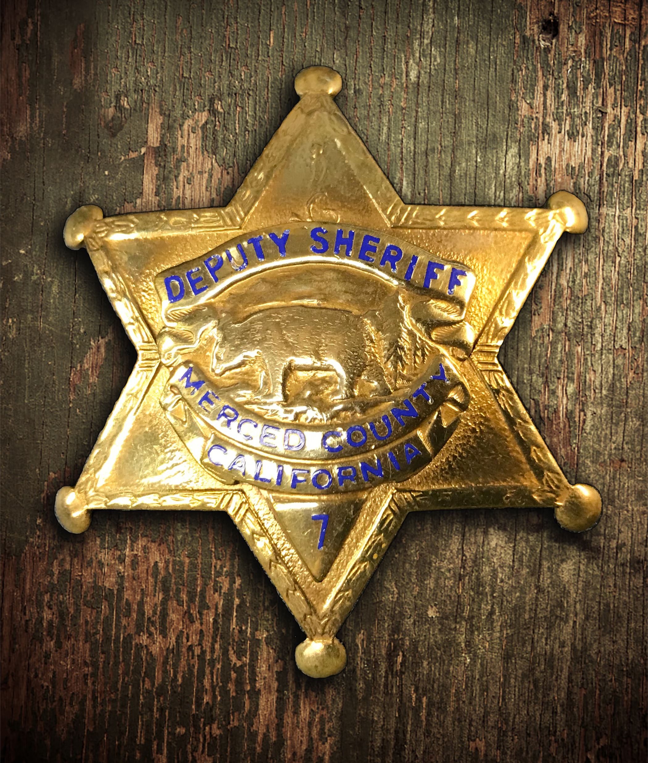 Detail Image Of Police Badge Nomer 50