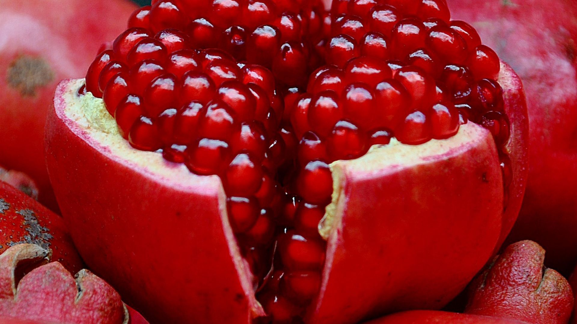 Detail Image Of Pomegranate Fruit Nomer 52