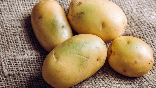 Detail Image Of Potato Nomer 14
