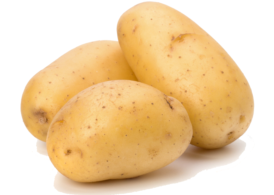 Detail Image Of Potato Nomer 15