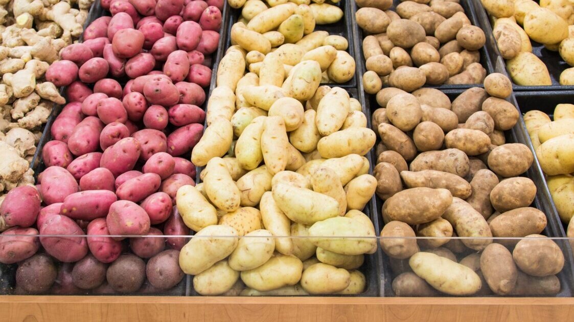 Detail Image Of Potato Nomer 30