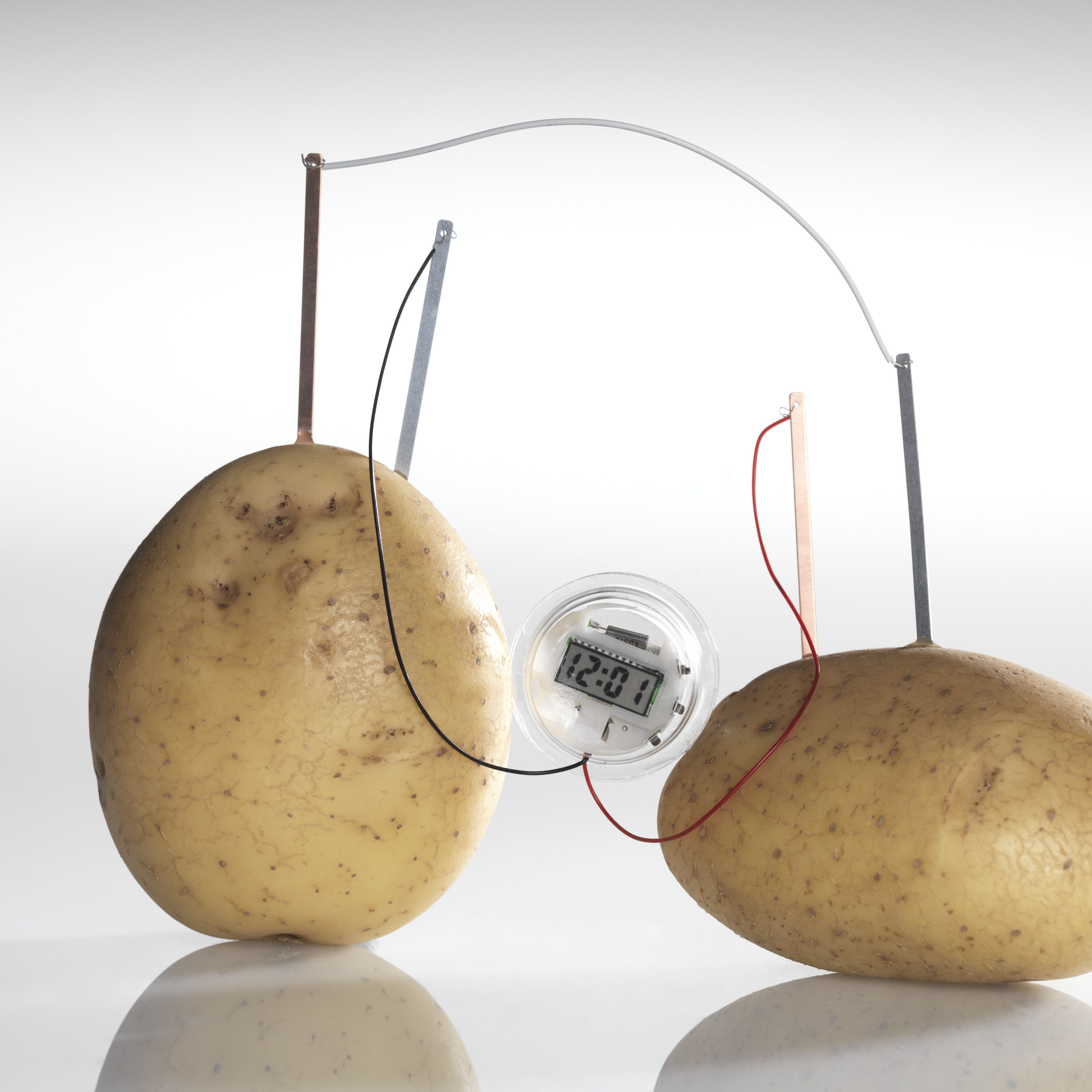 Detail Image Of Potato Nomer 32