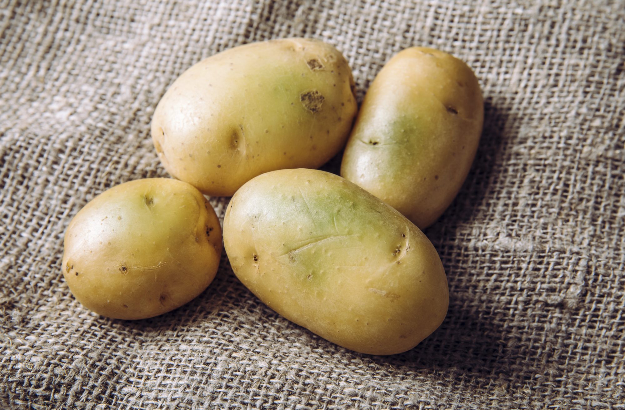 Detail Image Of Potato Nomer 37