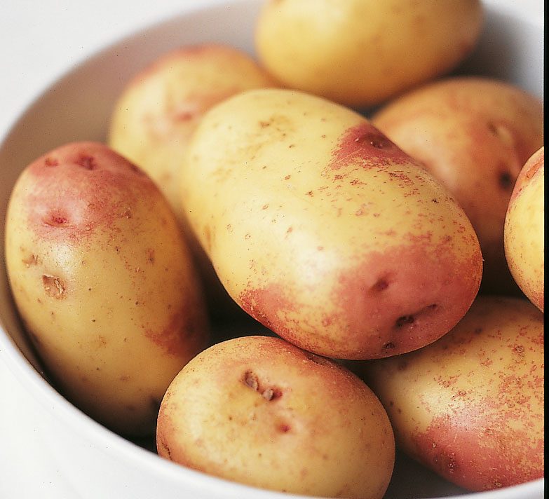 Detail Image Of Potato Nomer 54