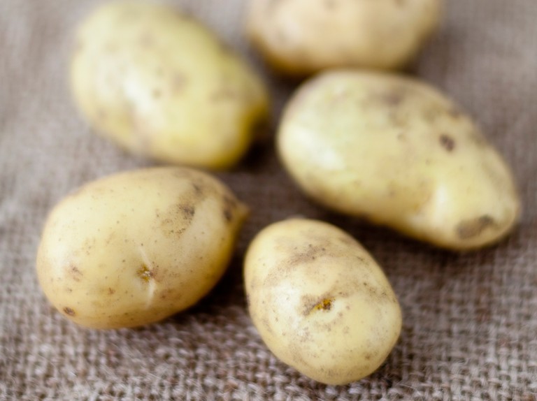 Detail Image Of Potato Nomer 55