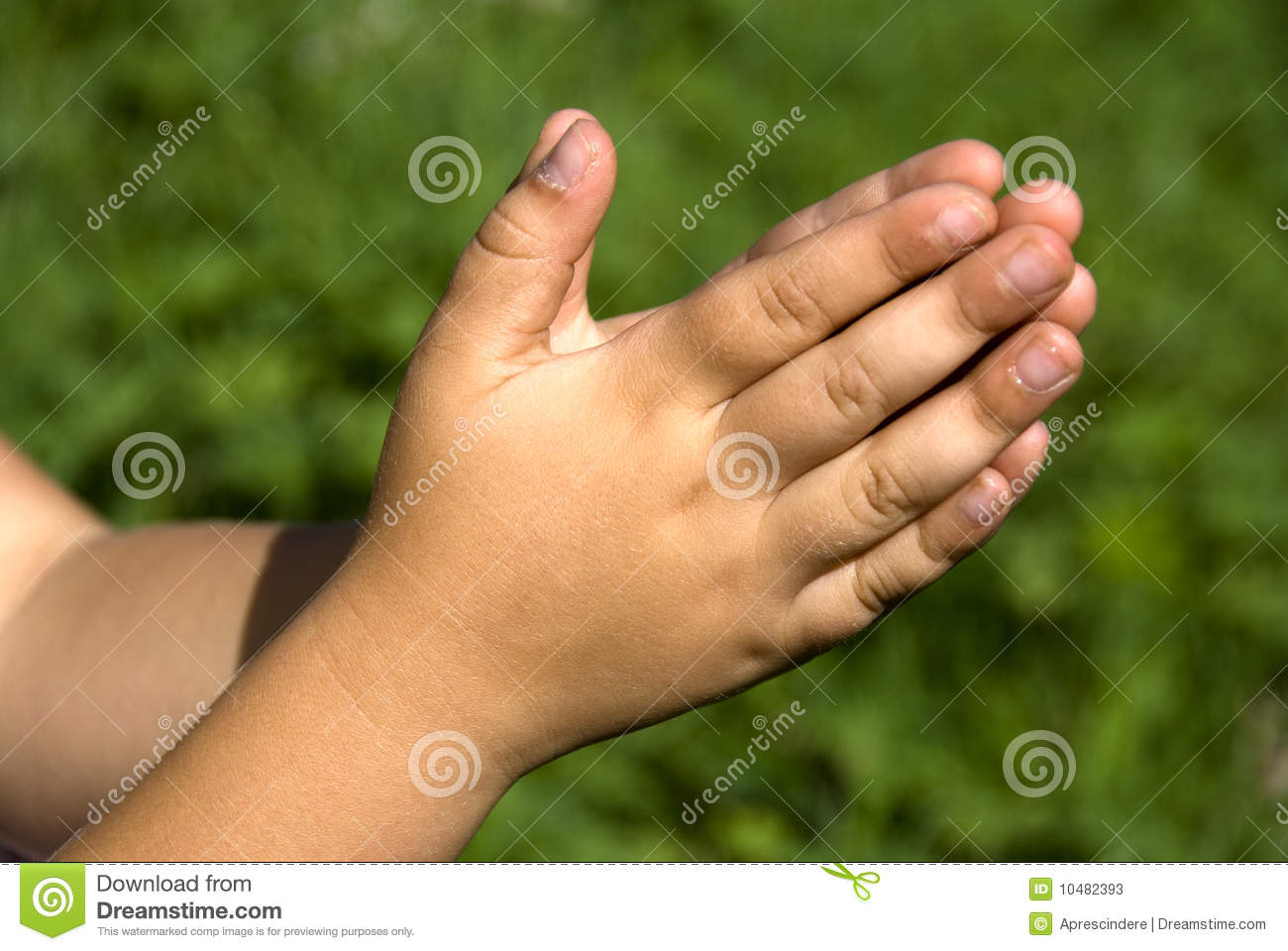 Detail Image Of Praying Hands Nomer 52
