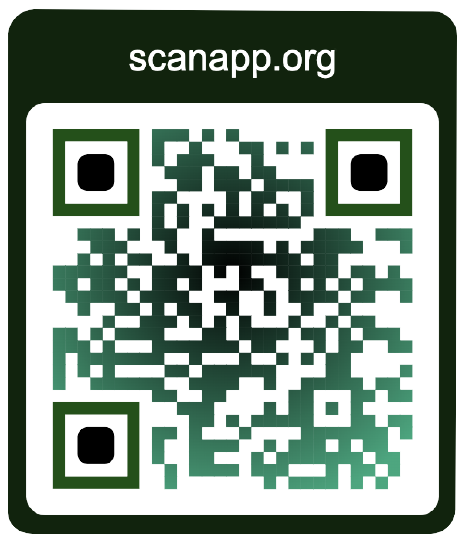 Detail Image Of Qr Code Nomer 43