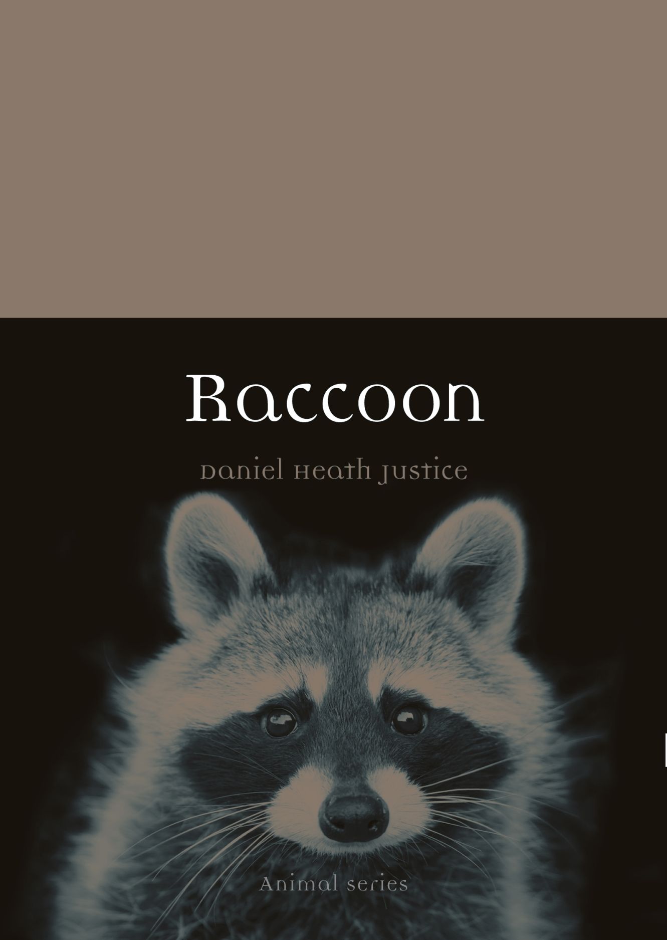 Detail Image Of Raccoon Nomer 28