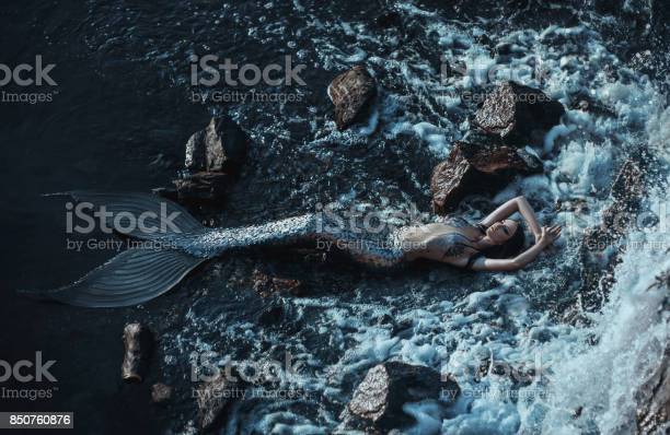 Detail Image Of Real Mermaid Nomer 18