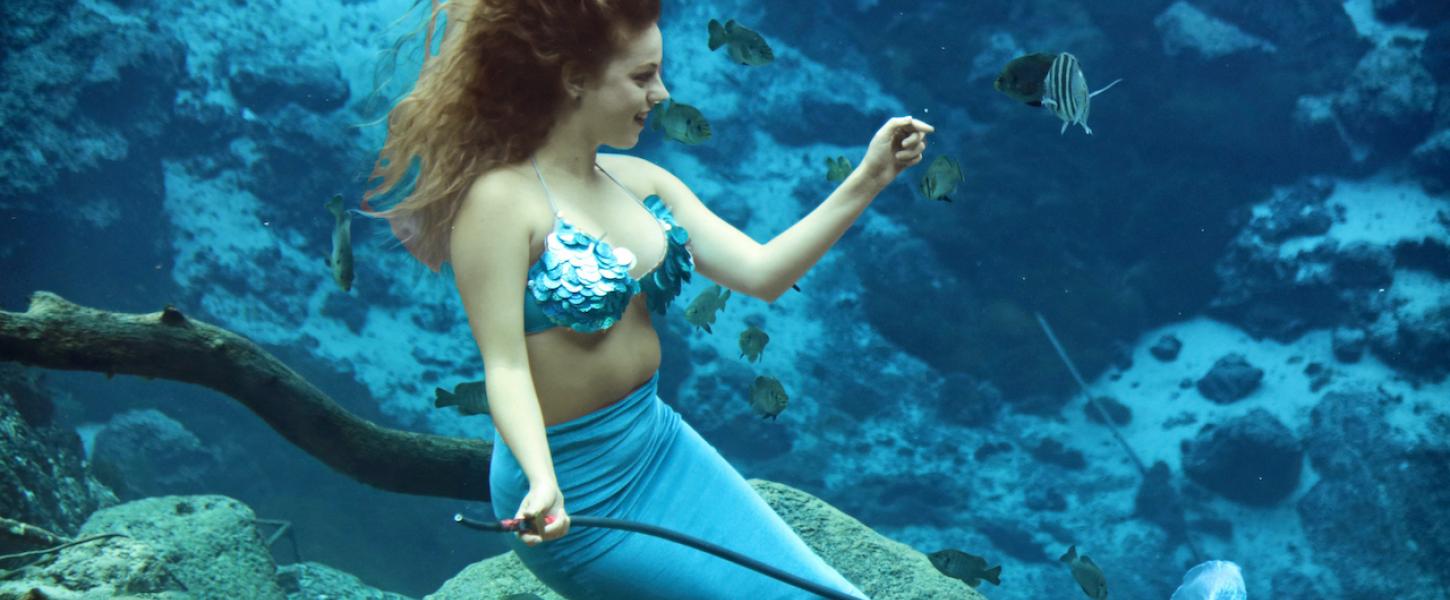Detail Image Of Real Mermaid Nomer 26
