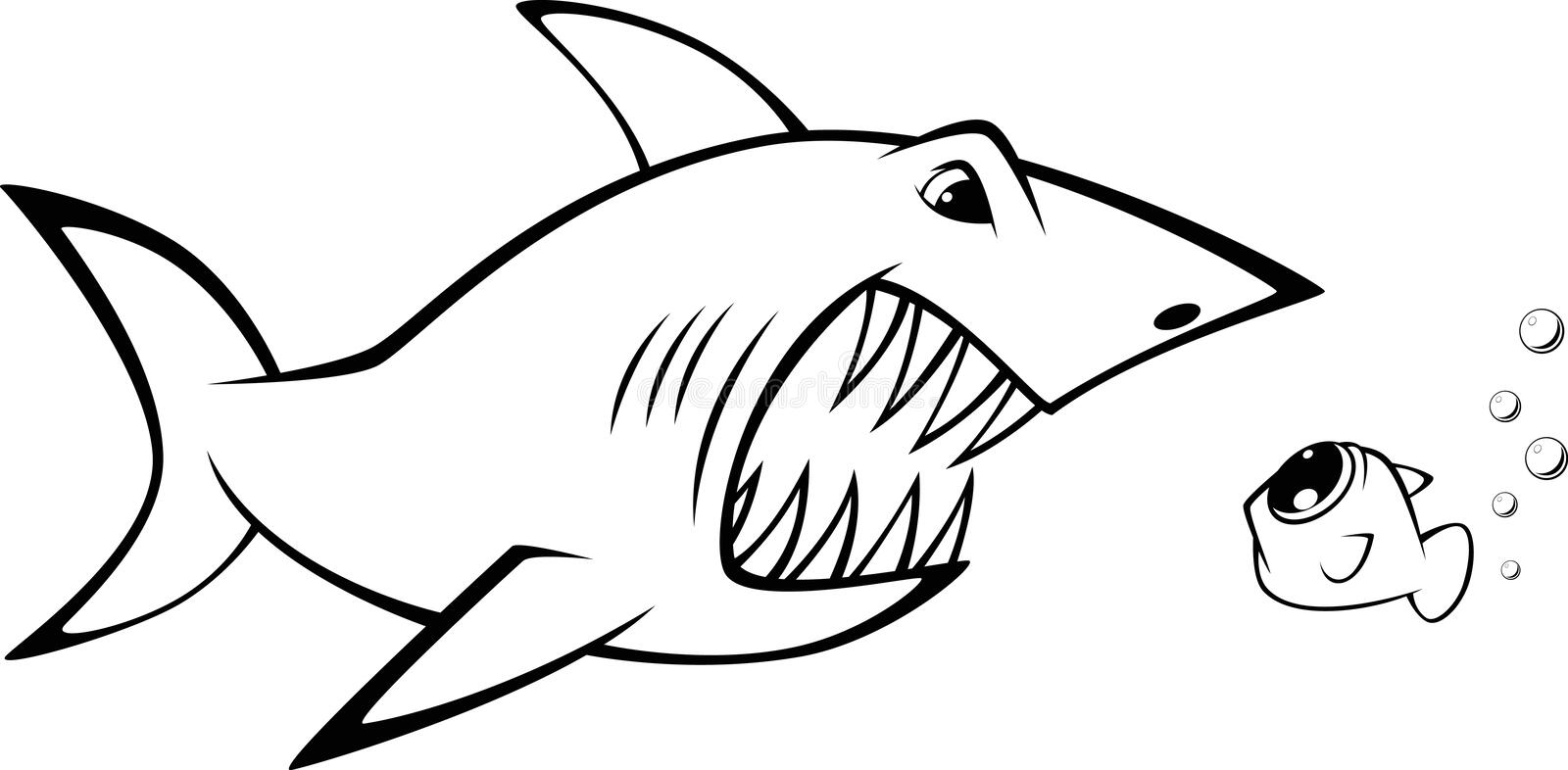 Detail Image Of Shark Fish Nomer 13