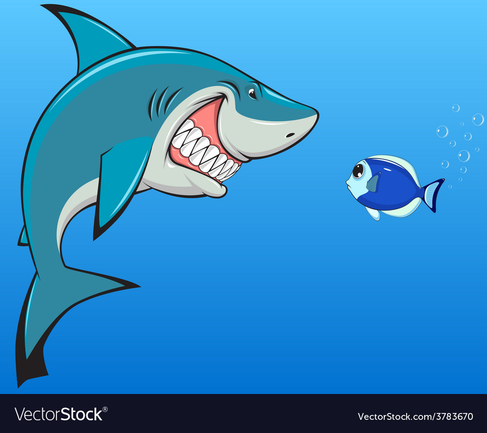 Detail Image Of Shark Fish Nomer 22