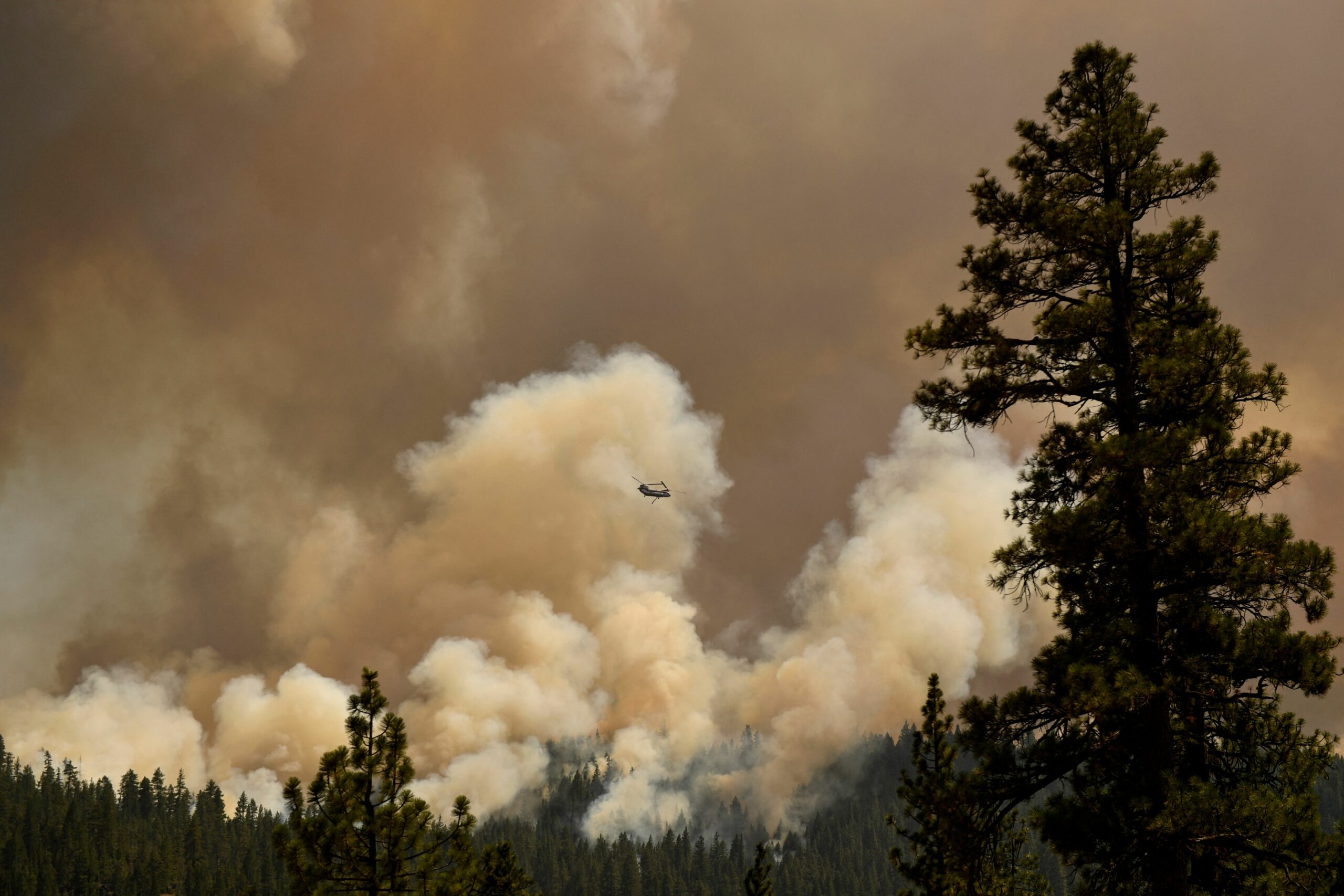 Detail Image Of Smoke Nomer 52