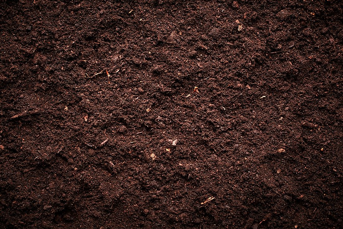 Detail Image Of Soil Nomer 13