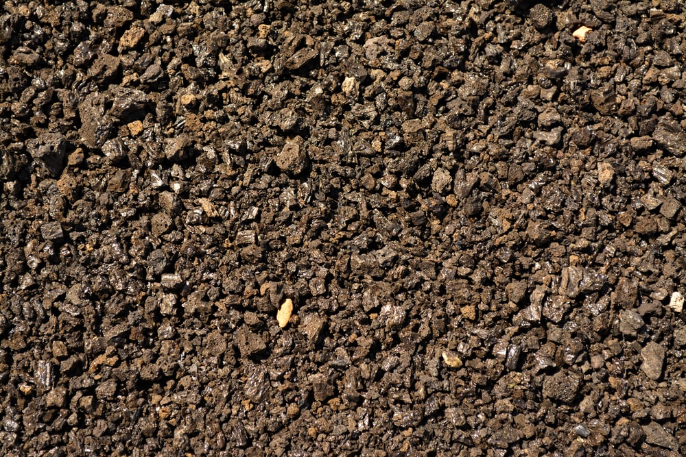 Detail Image Of Soil Nomer 17