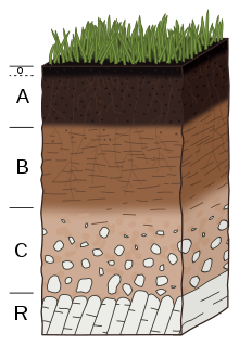 Detail Image Of Soil Nomer 18