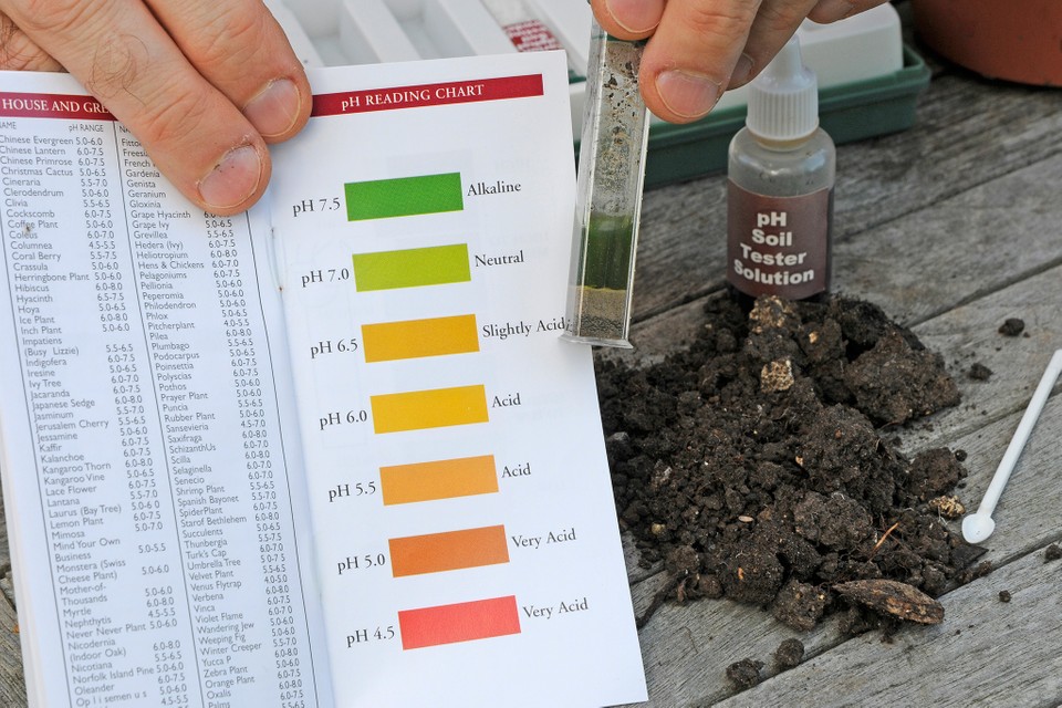 Detail Image Of Soil Nomer 24