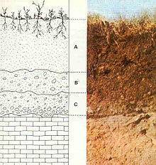 Detail Image Of Soil Nomer 27