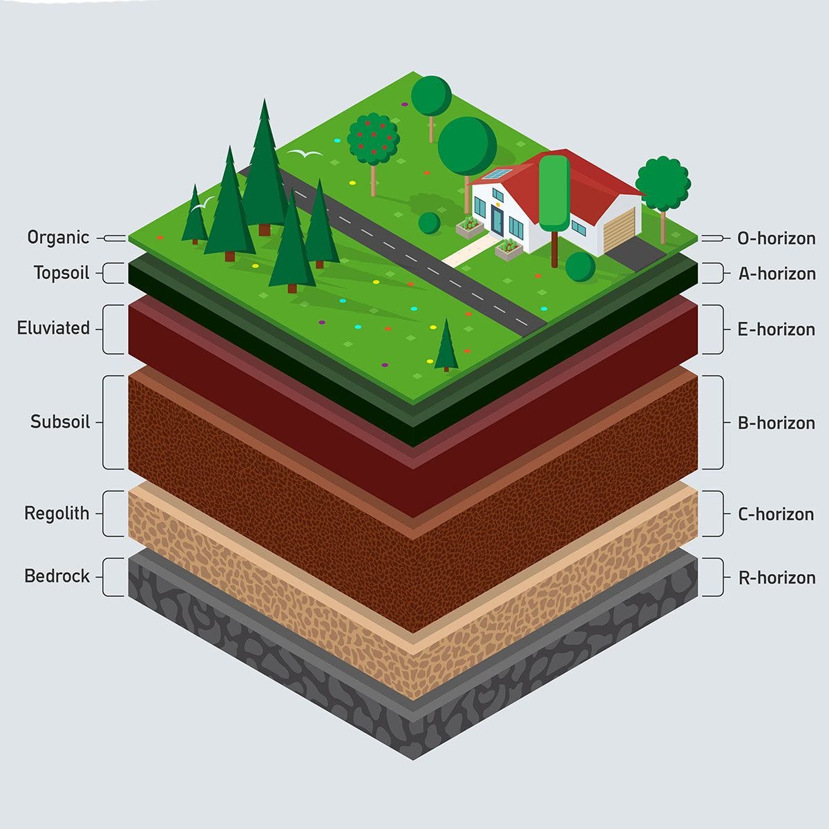 Detail Image Of Soil Nomer 32