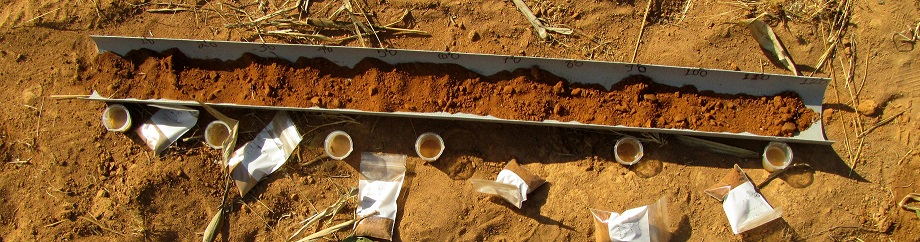 Detail Image Of Soil Nomer 47