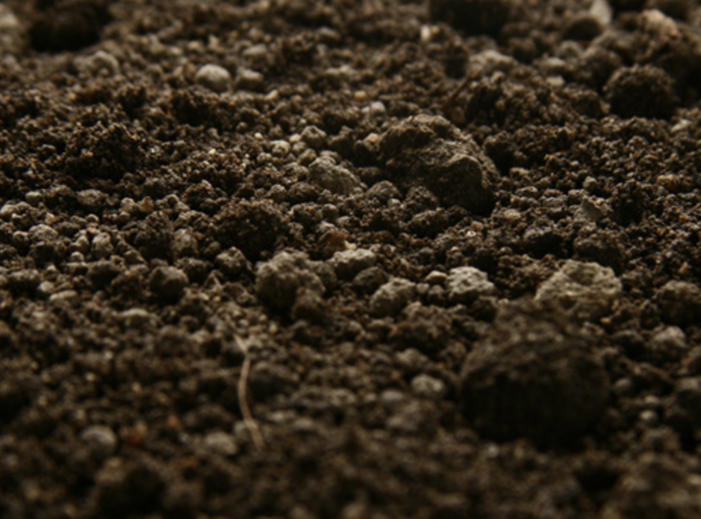 Detail Image Of Soil Nomer 7