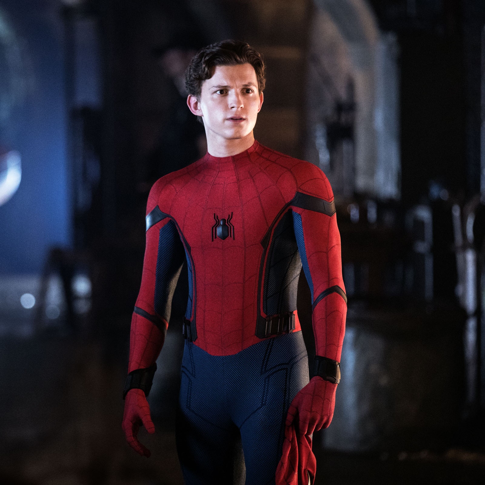 Detail Image Of Spider Man Nomer 33