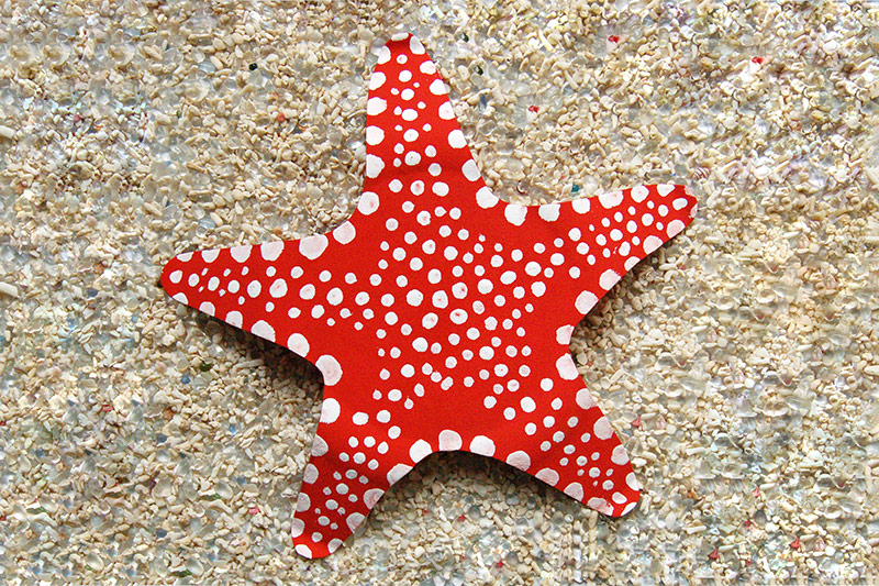 Detail Image Of Star Fish Nomer 5