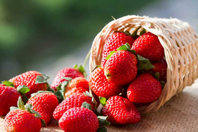 Detail Image Of Strawberry Nomer 34