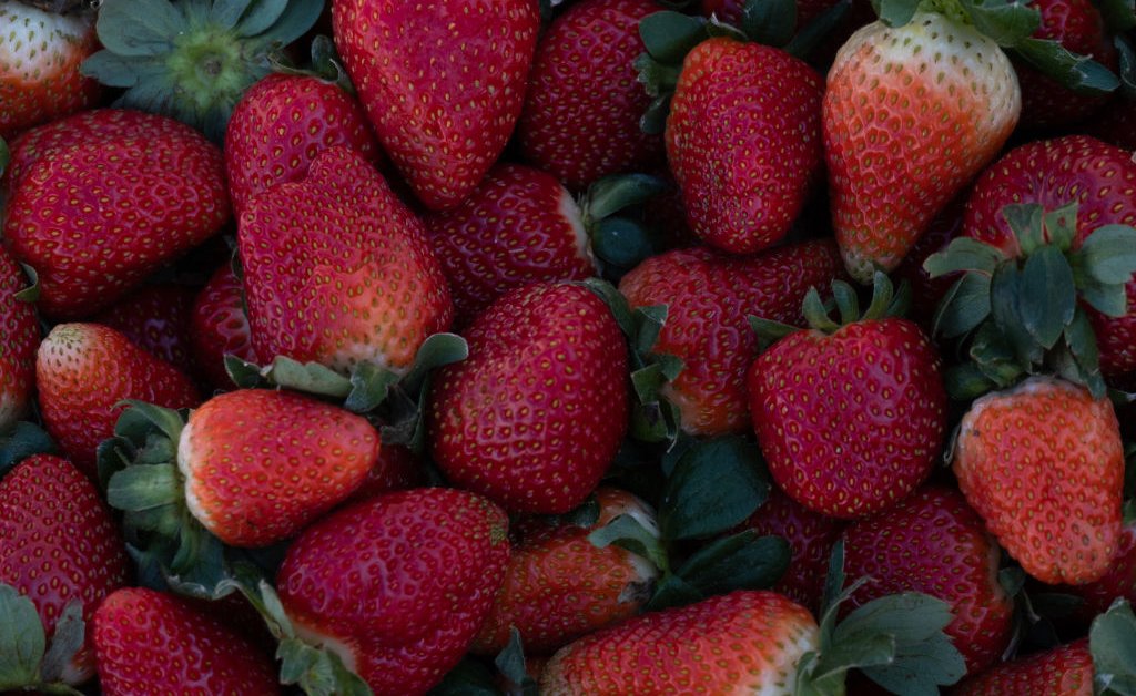 Detail Image Of Strawberry Nomer 54