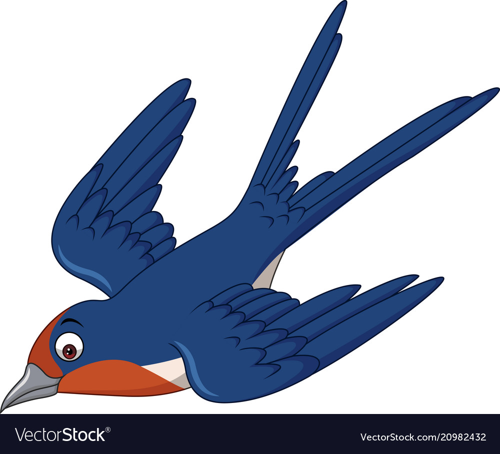 Detail Image Of Swallow Bird Nomer 32