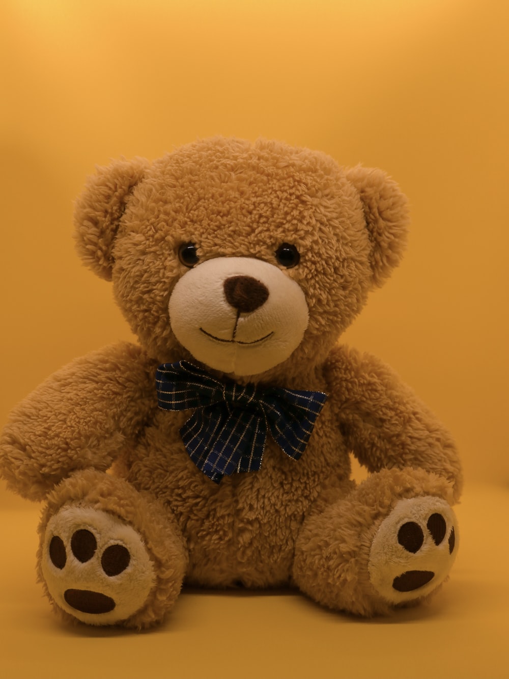 Detail Image Of Teddy Bear Nomer 19