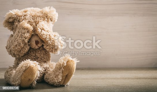 Detail Image Of Teddy Bear Nomer 42