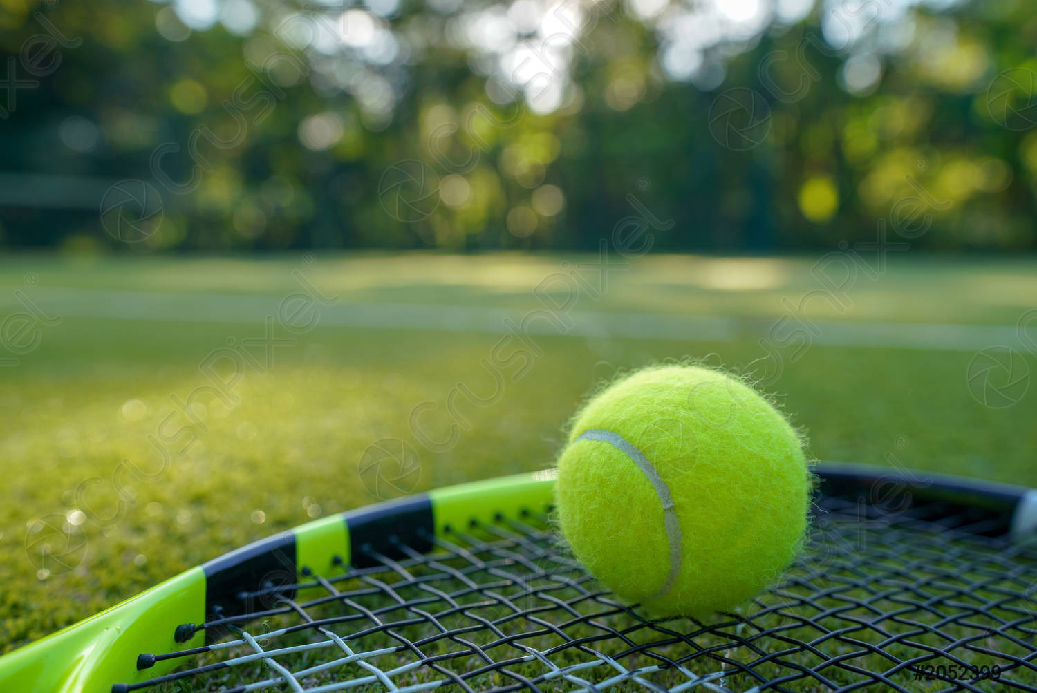 Detail Image Of Tennis Racket And Ball Nomer 40