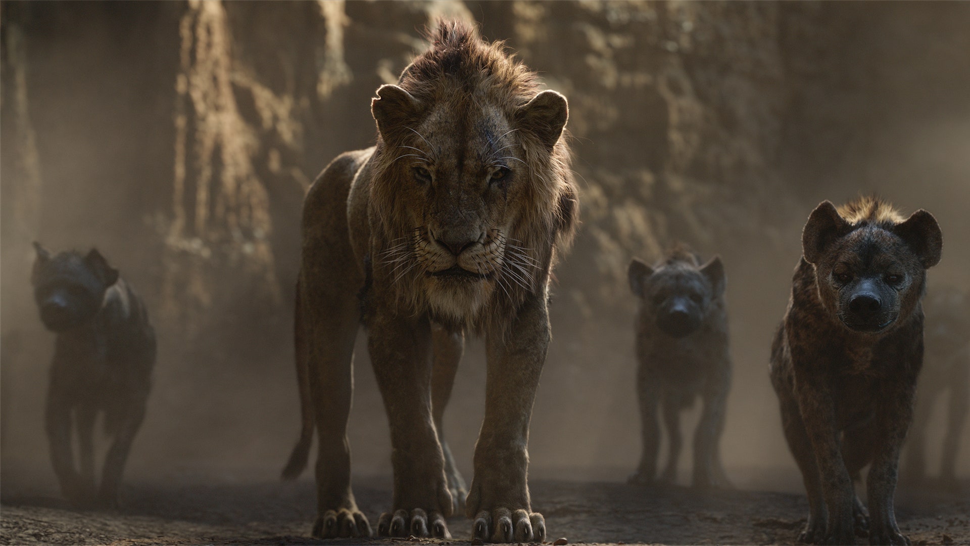 Detail Image Of The Lion King Nomer 52