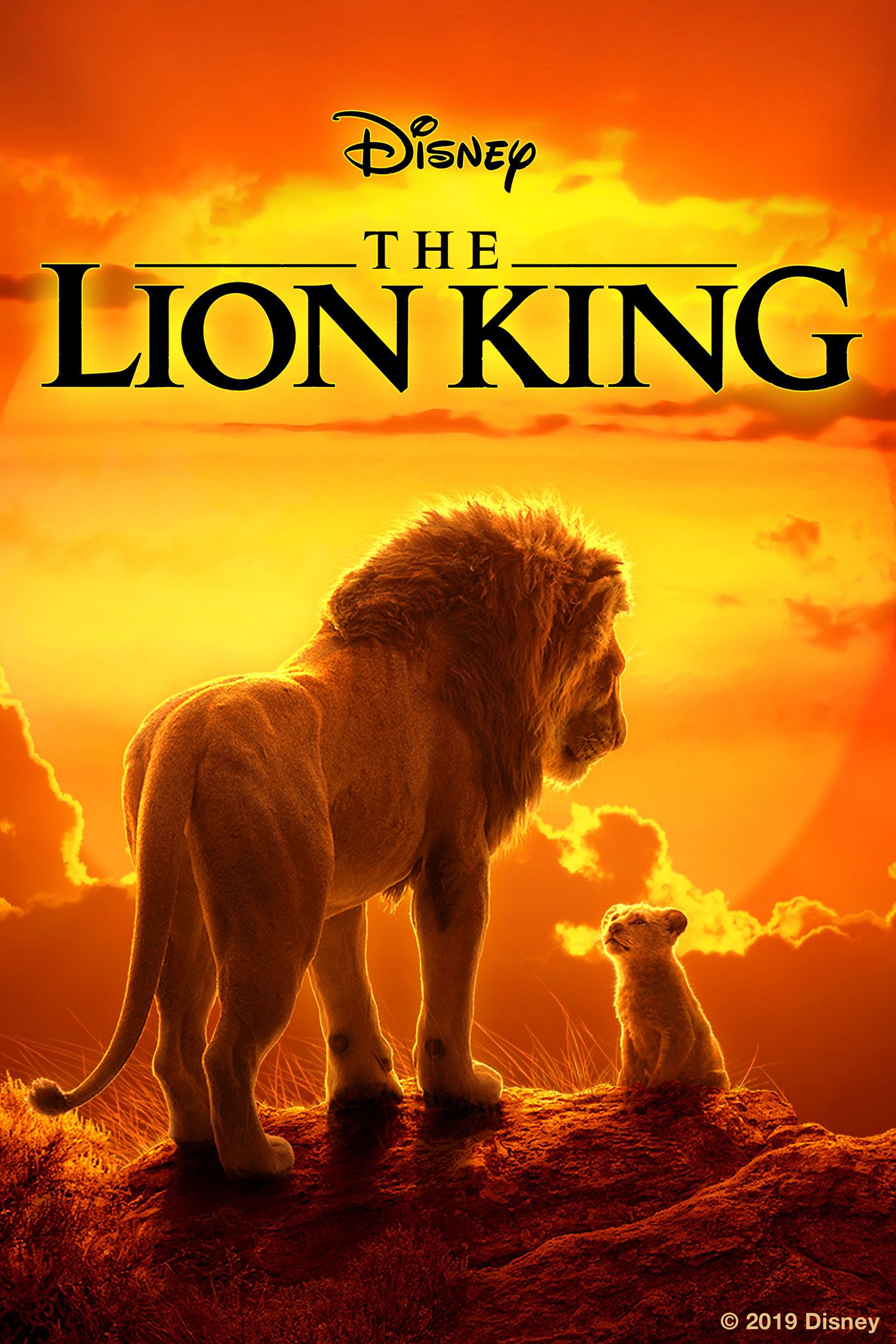 Detail Image Of The Lion King Nomer 7