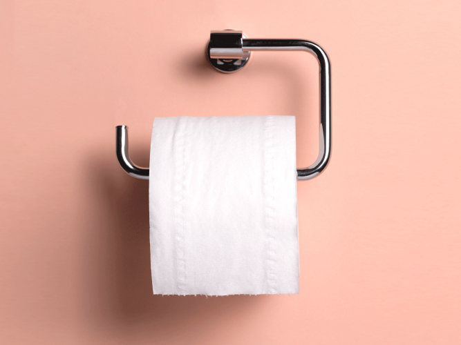 Detail Image Of Toilet Paper Nomer 45